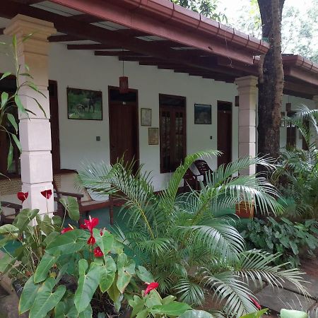 Sigiri Jungle Villa سيغيرِيا المظهر الخارجي الصورة