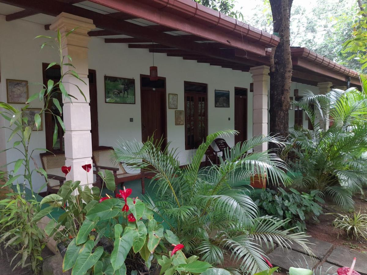 Sigiri Jungle Villa سيغيرِيا المظهر الخارجي الصورة