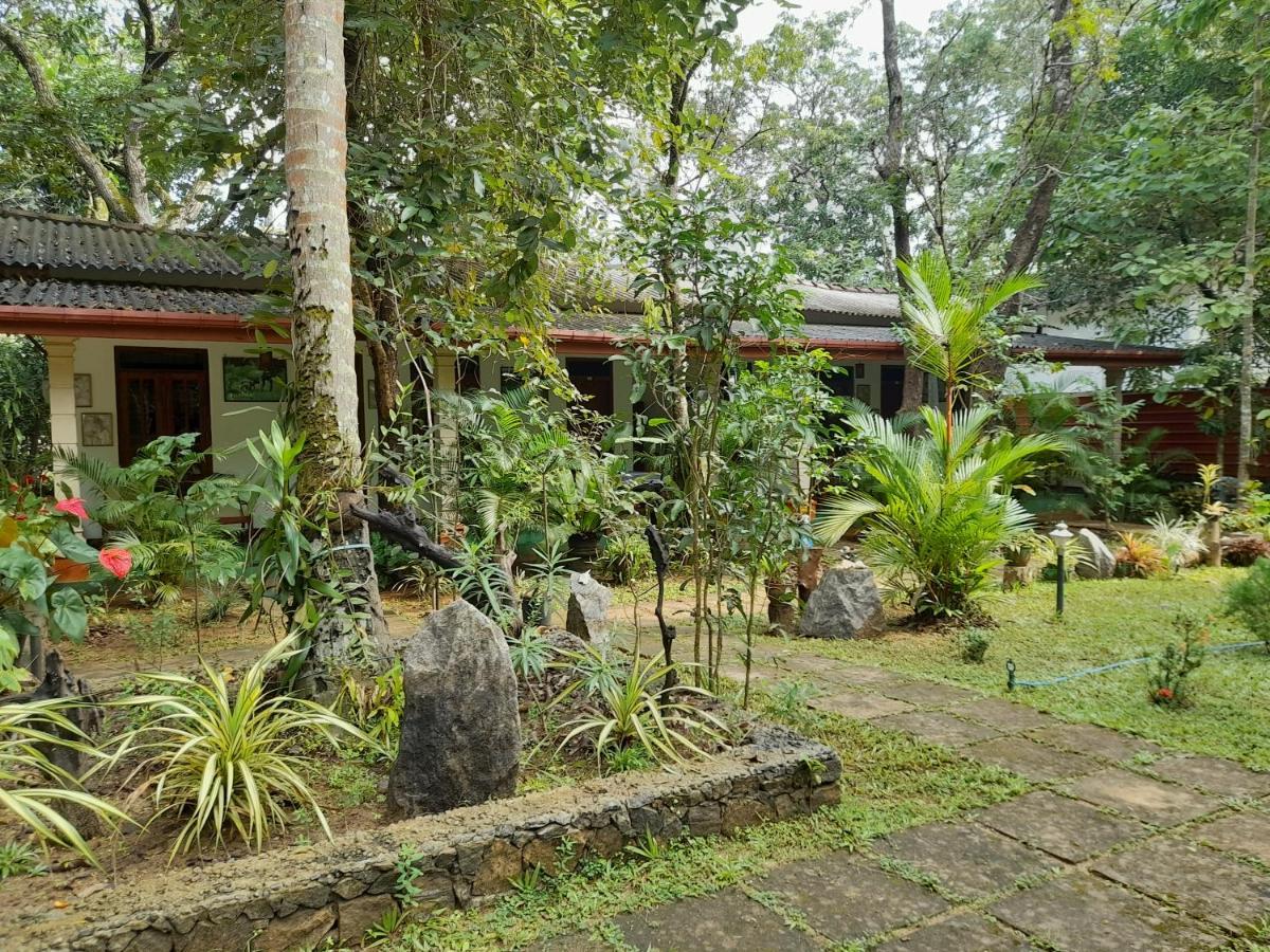 Sigiri Jungle Villa سيغيرِيا المظهر الخارجي الصورة