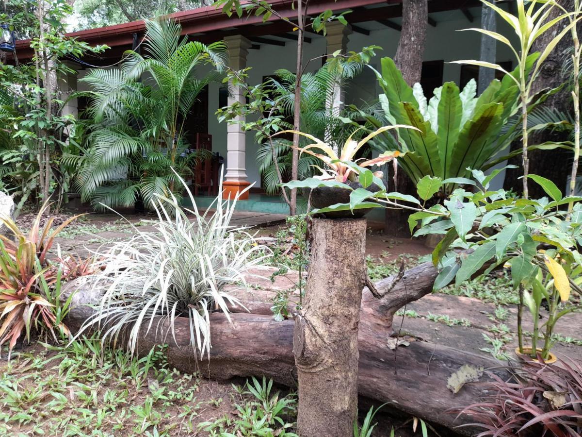 Sigiri Jungle Villa سيغيرِيا المظهر الخارجي الصورة