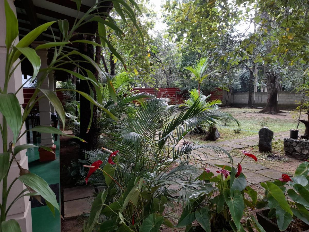 Sigiri Jungle Villa سيغيرِيا المظهر الخارجي الصورة